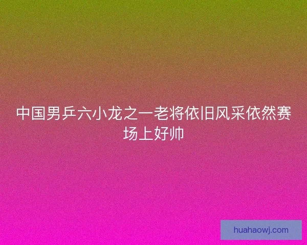 中国男乒六小龙之一老将依旧风采依然赛场上好帅