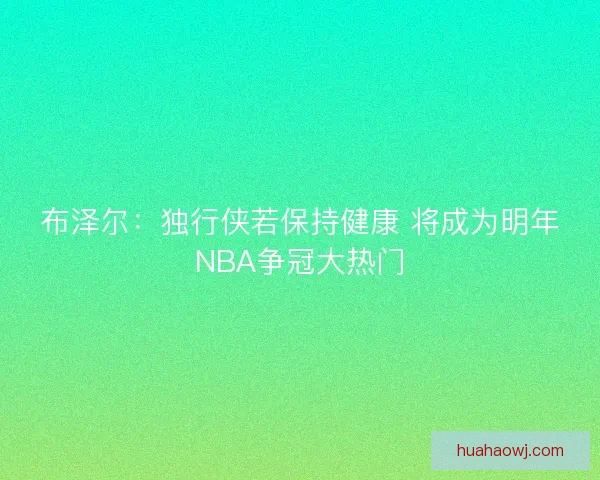 布泽尔：独行侠若保持健康 将成为明年NBA争冠大热门