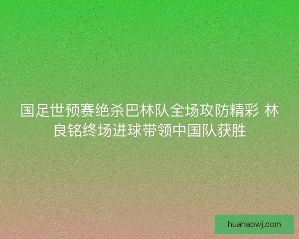 国足世预赛绝杀巴林队全场攻防精彩 林良铭终场进球带领中国队获胜